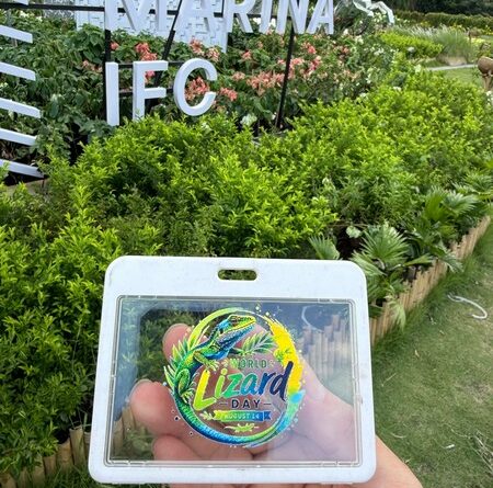 IN LOGO BAO THẺ TRONG SUỐT